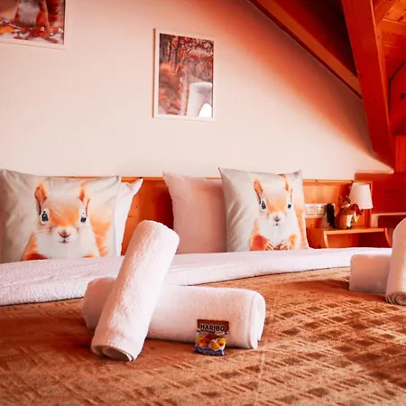 House Of Happiness By Apartmentglueck Pensión Schluchsee